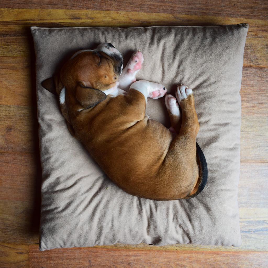 Pillow Cube: Throw Your Old Pillow in The 🗑