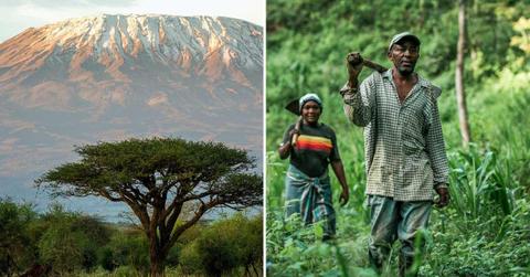 (L) Mount Kilimanjaro (Representative Cover Image Source: Getty Images | Ayzenstayn) | (R) People planting trees on Kilimanjaro (Cover Image Source: Facebook | @thekilimanjaroproject)