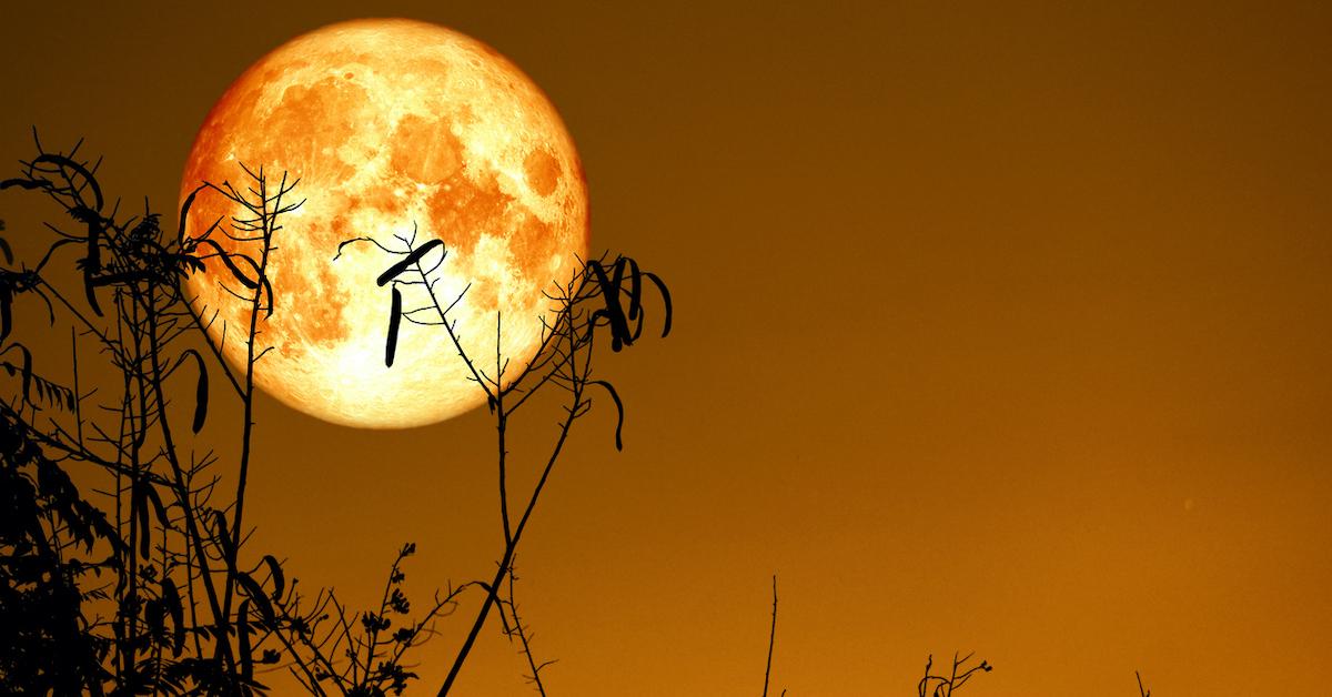 The October Harvest Moon Is Here — What It Means, How to See It, and More