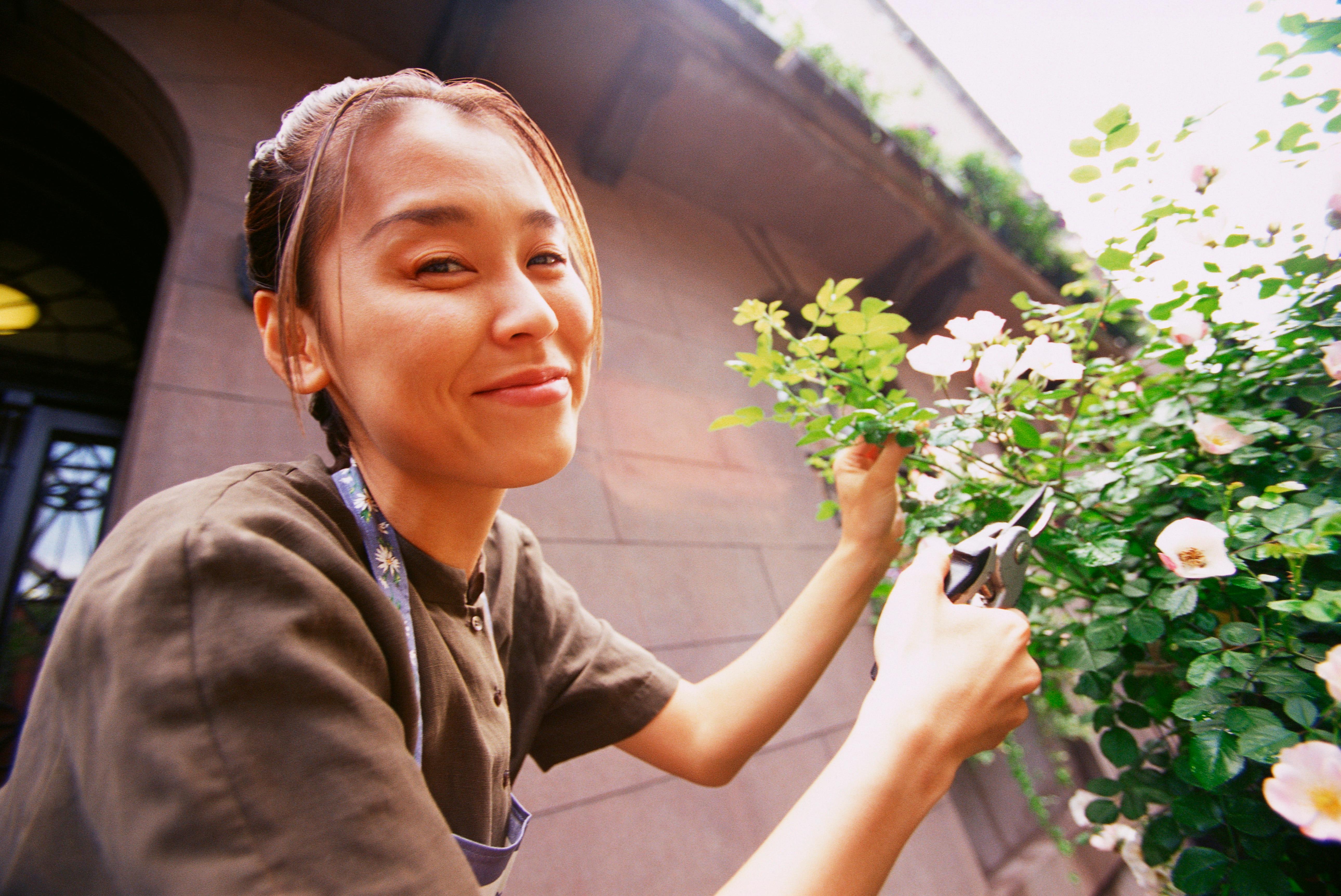 How to Get Started Urban Gardening