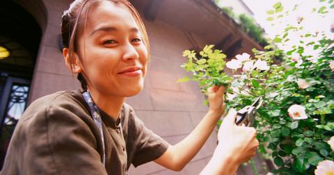 How to Get Started Urban Gardening
