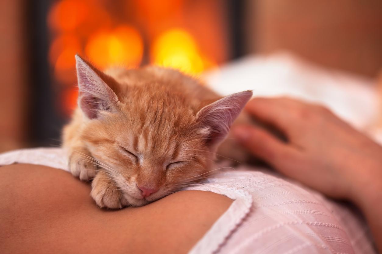 A cat sleeping on a woman's chest in front of a fireplace.