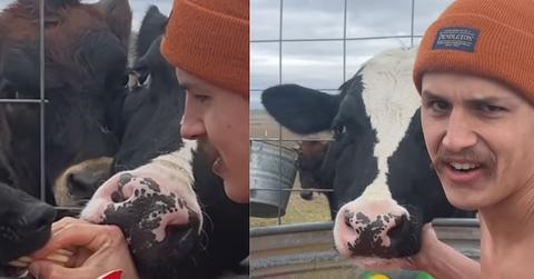 Elias, Bruce, Henry and other animals on the Herrera family farm.