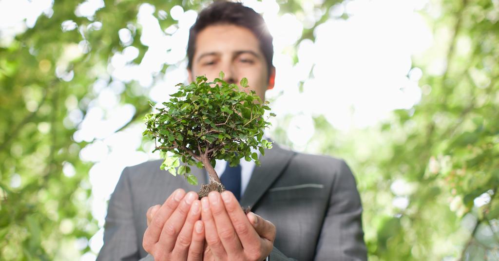 what-is-eco-consulting
