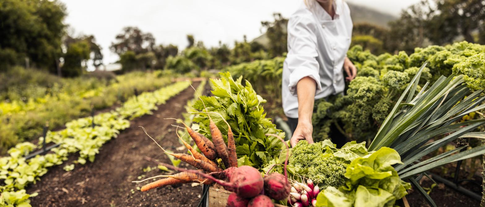 Sustainable Farming