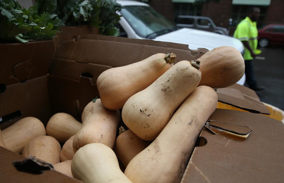 Squashes in cardboard box. 