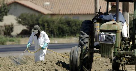 EPA Bans Controversial Pesticide Chlorpyrifos