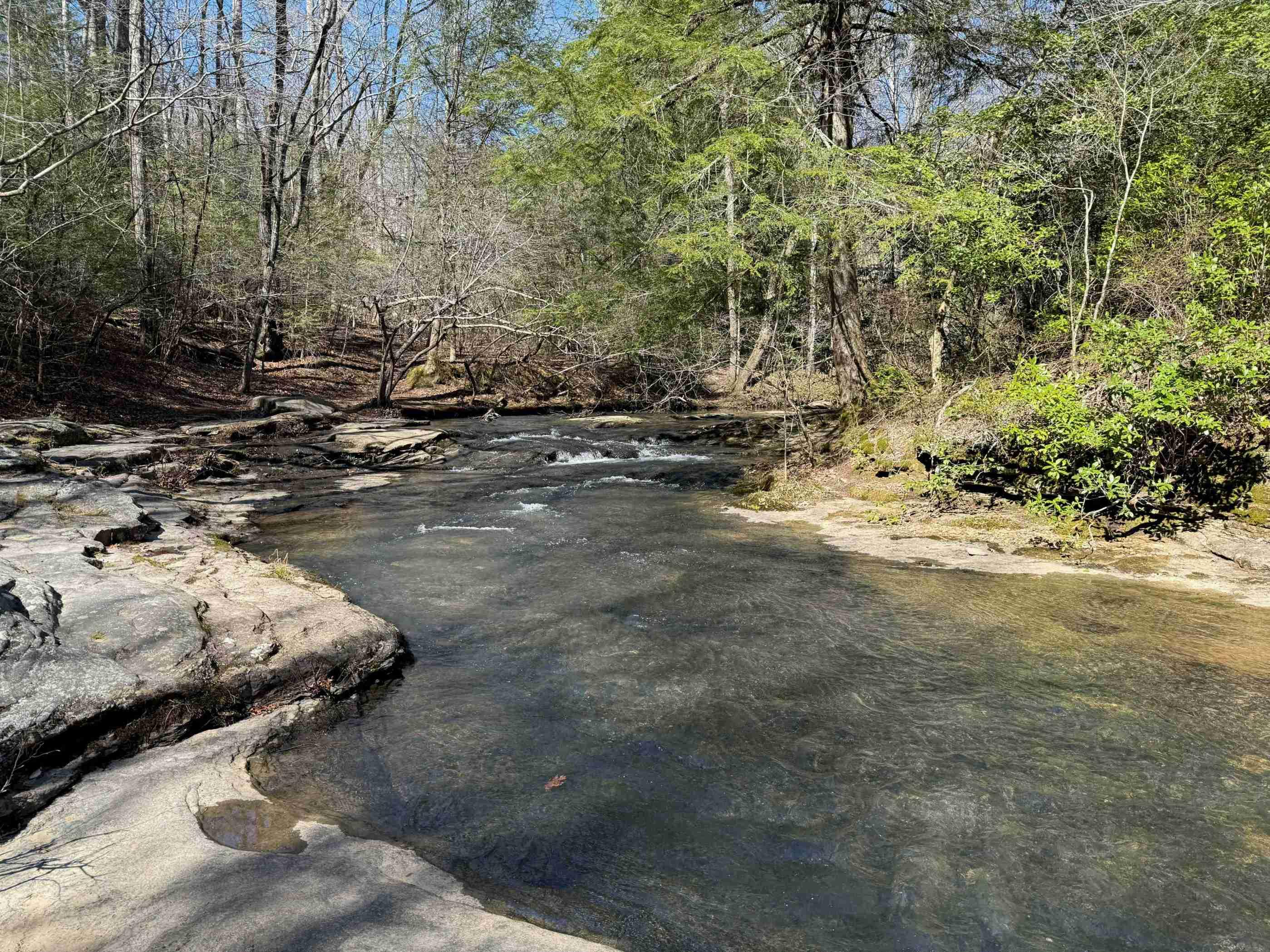 Savage Gulf State Park in Tennessee is pictured, where a man was bitten by a rattlesnake.