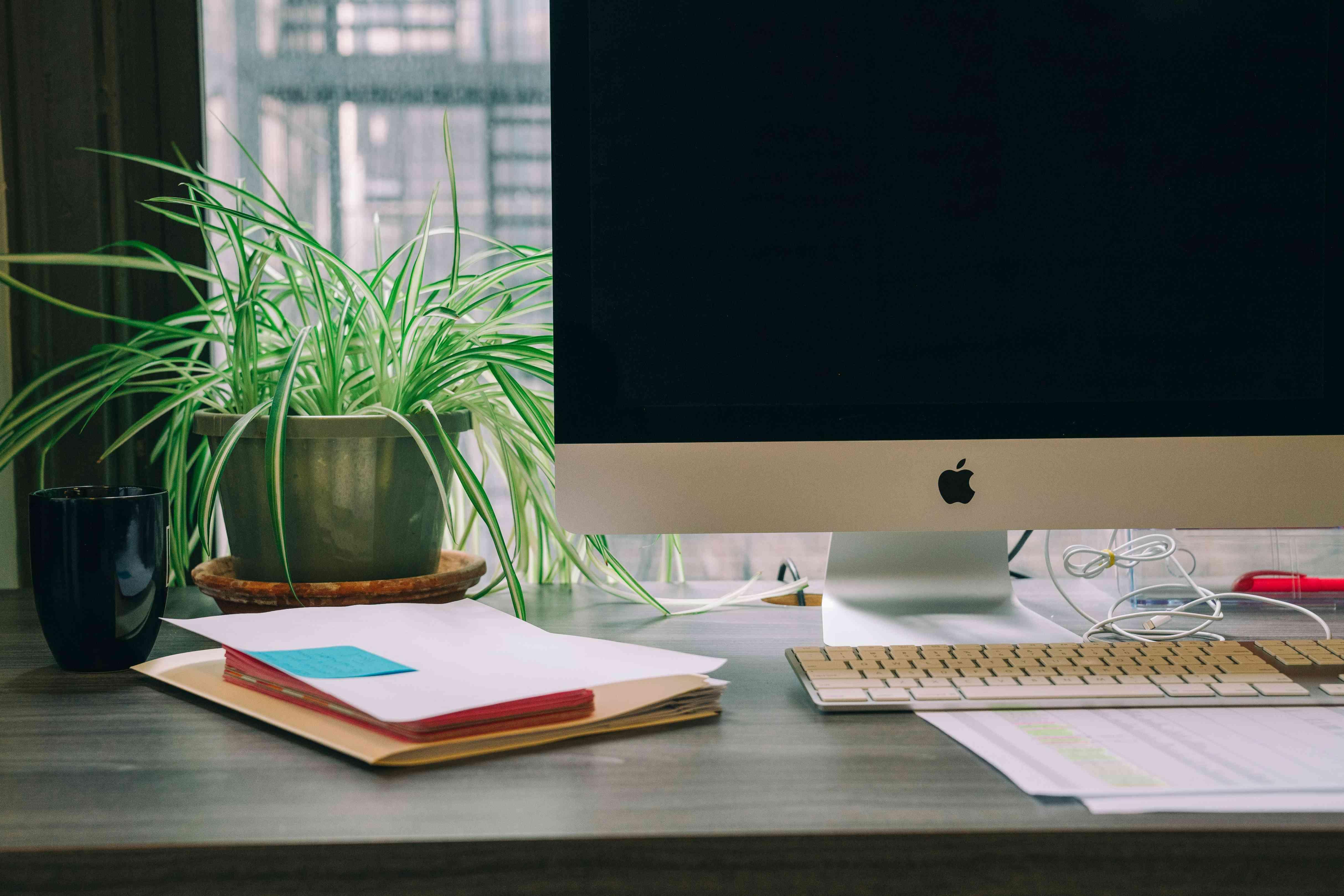 A green plant sits atop a work desk beside papers and an Apple computer.