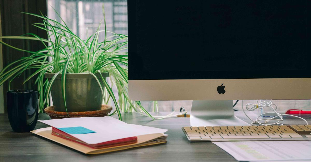 The 7 Best Low-Maintenance Plants To Keep In Your Office