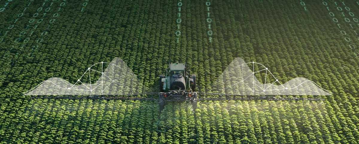 pn/babea de  bf abee