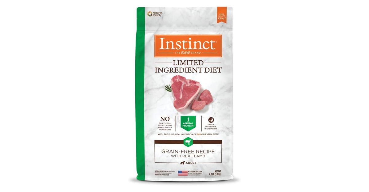 Sample Dog Food A Deep Dive into Canine Cuisine and Samples
