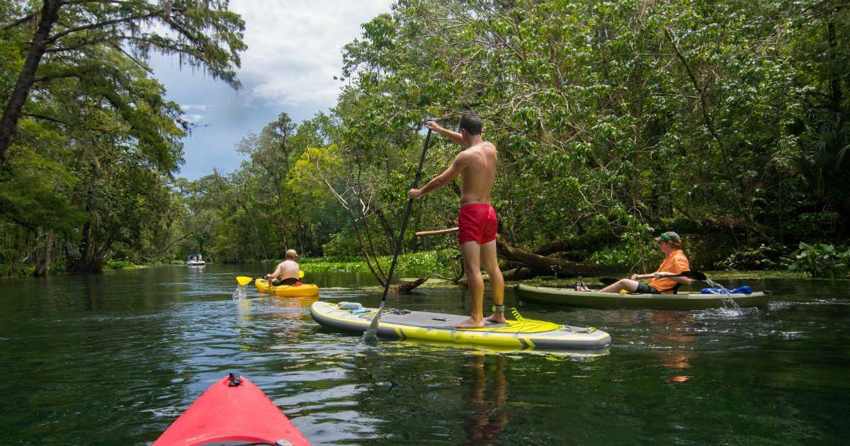Kayakers riding on the Silver River in the Ocala National Forest. (Representative Cover Image Source: Getty Images | Michael Warren)