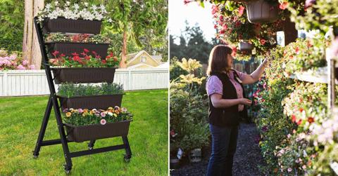 (L) G TALECO GEAR 5-tier vertical garden planter in black color. (Cover Image Source: Walmart) | (R) A woman shopping for planters in a store. (Representative Cover Image Source: Getty Images | Mint Images)
