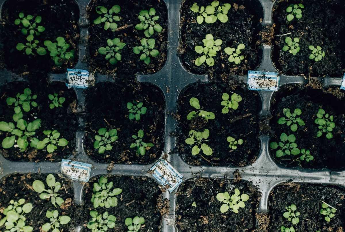 pn/df cef d ae bbeab