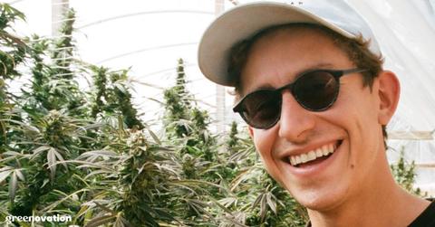 Closeup of Lex Corwin smiling surrounded by cannabis plants in a greenhouse