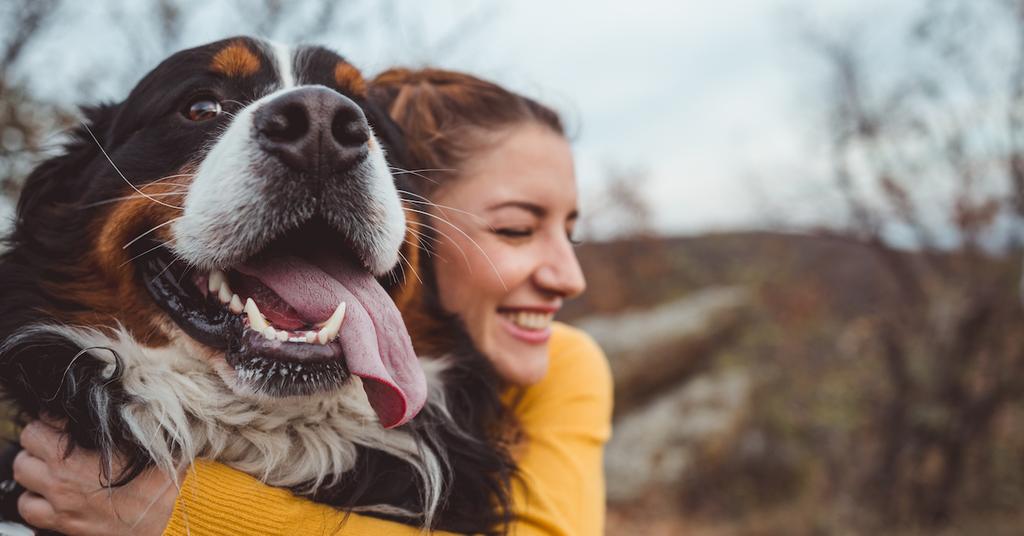National Rescue Dog Day 2019: How to Honor Dogs Today