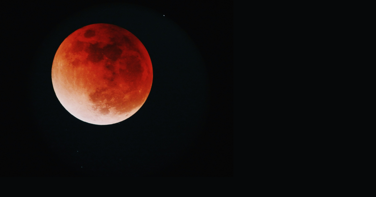 A blood moon appears in the night sky