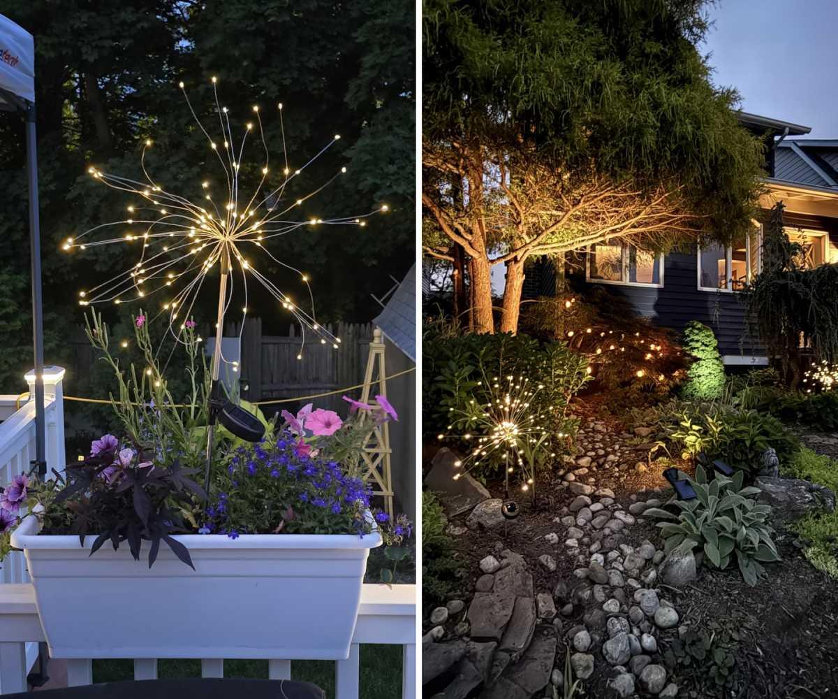 pn/ecfc daf a aae ccadd