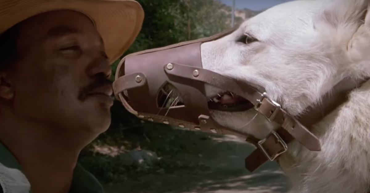 Screenshot from the 1982 movie 'White Dog' showing a man and a dog with a muzzle on.