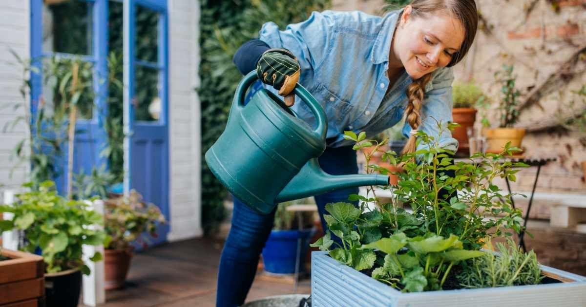 A female gardener smiles while watering the plants in her garden bed. (Representative Cover Image Source: Getty Images | Guido Mieth)