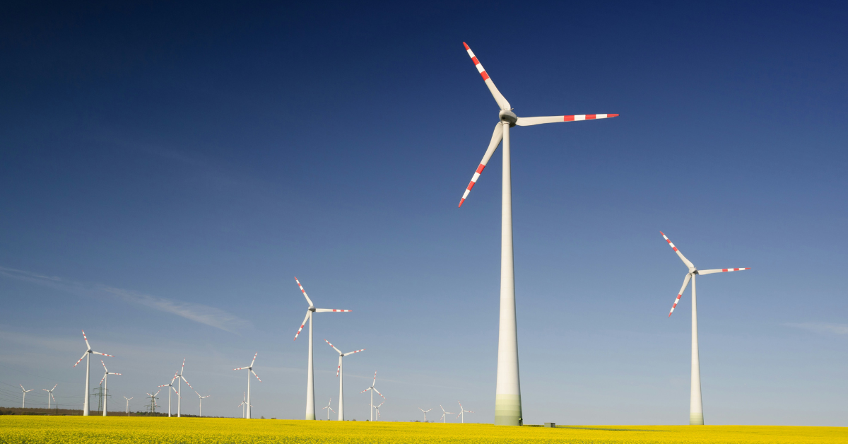 Donald Trump Claims Windmills Kill Bald Eagles — Here’s the Truth