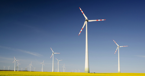 Donald Trump Claims Windmills Kill Bald Eagles — Here’s the Truth