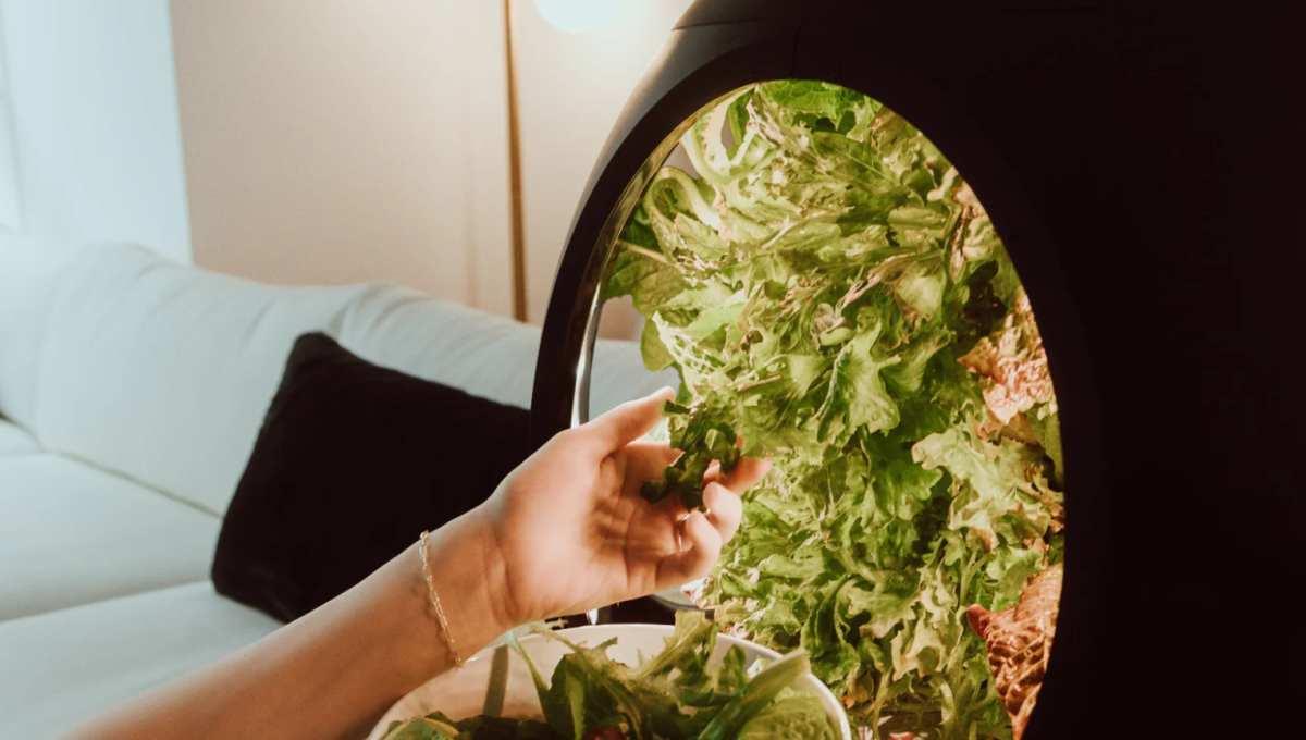 pn/cdfc ea a aee aaddf