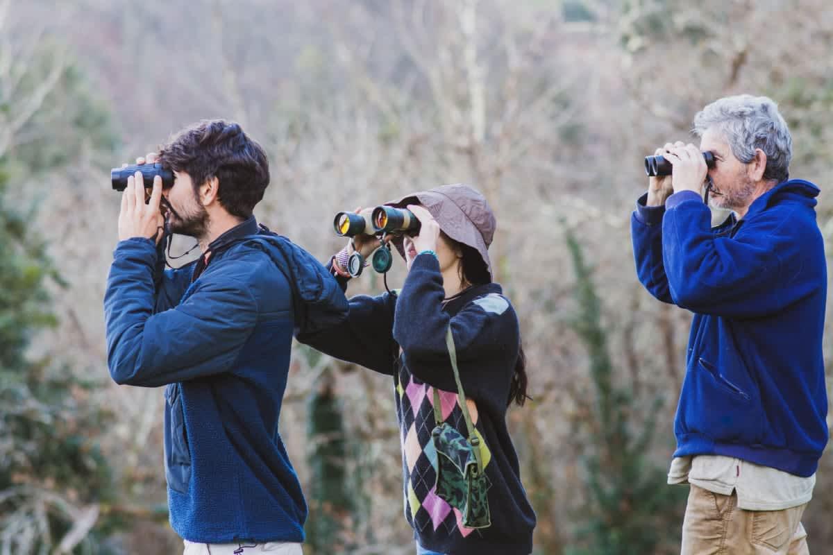 pn/ecb d ccf bb dace