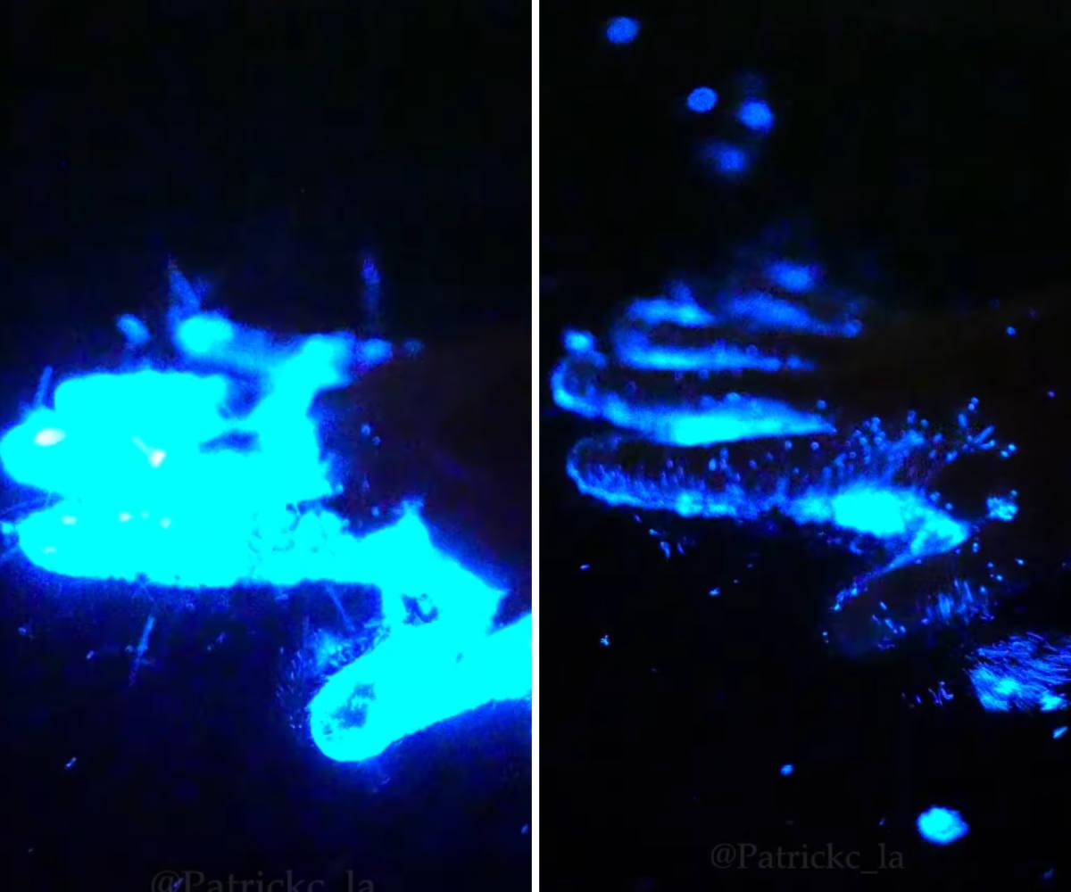 pn/bdaad a cb a abbdd