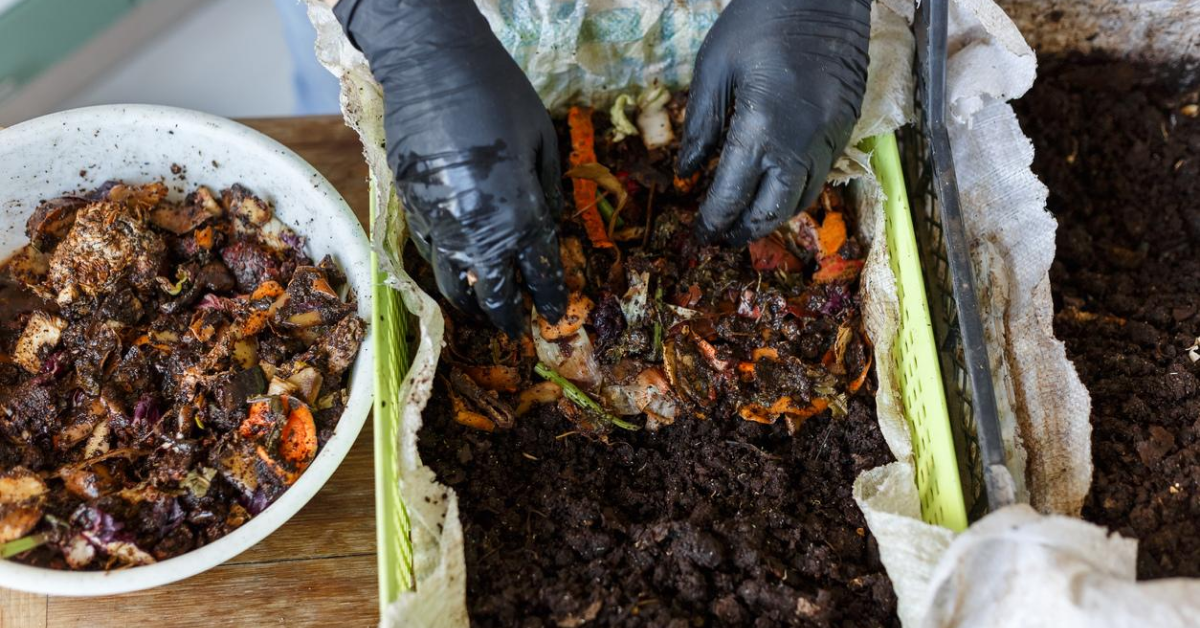 Home composting and worm farming