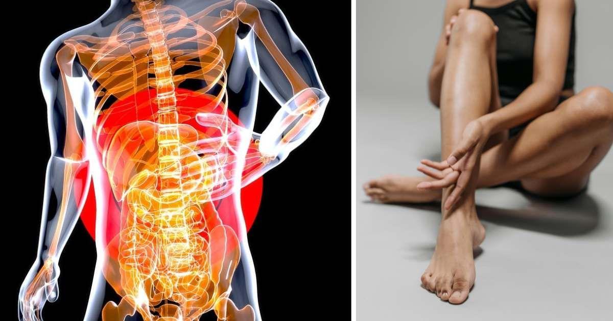 (L) Illustration graphic depicting the human digestive system. (R) A woman brushes her leg. (Representative Cover Image Source: (L) Pixabay | Julien Tromeur, (R) Pexels | Rocketmanu Team)