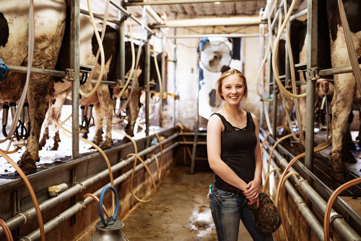 A smiling dairy farm employee is depicted in the center of an operation where dairy cows are tethered to hoses to extract their milk.