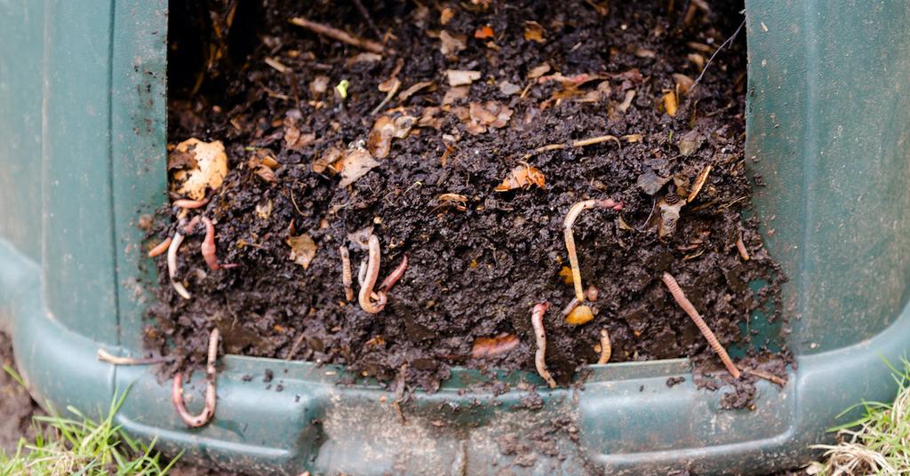 Can You Compost in Cold Weather? Snow Definitely Brings Some Changes