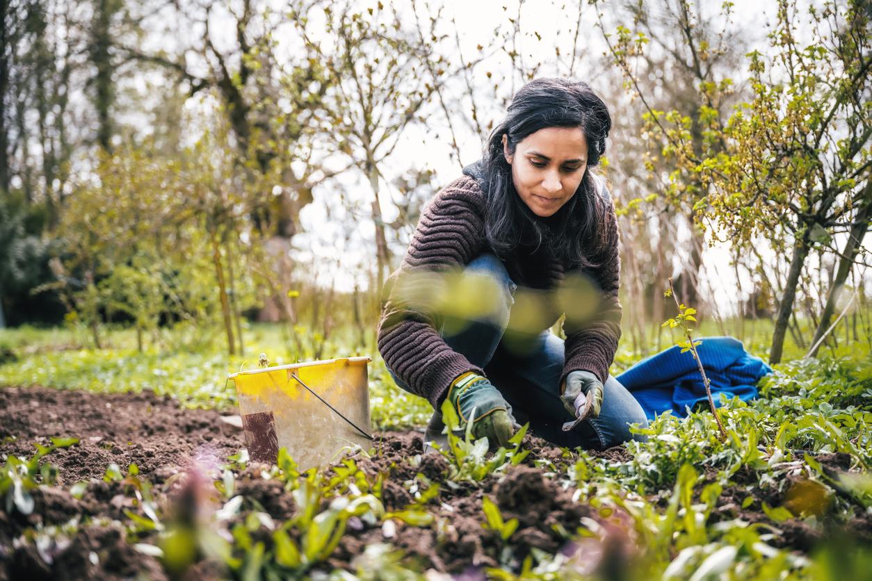 Person working in garden