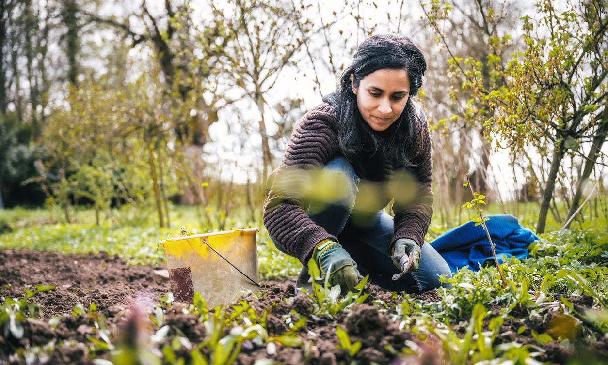 What Is The Back To Eden Gardening Method