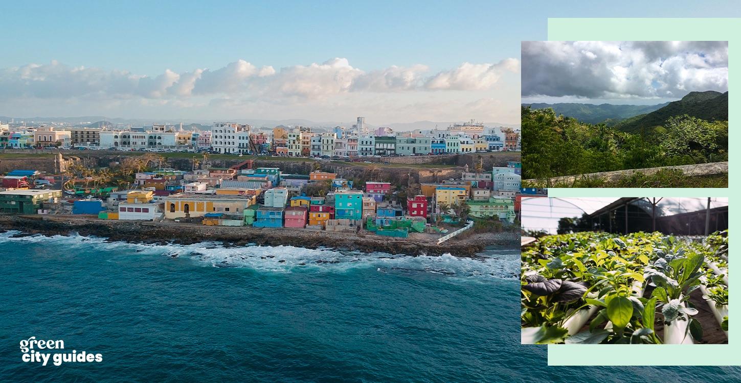 Over an image of colorful houses along a beach is an image of mountains, and a closeup of plants growing in a greenhouse