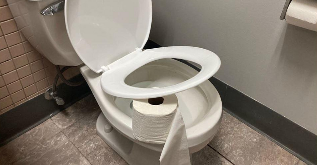Why Put Toilet Paper Roll or Red Cup Under Toilet Seat?