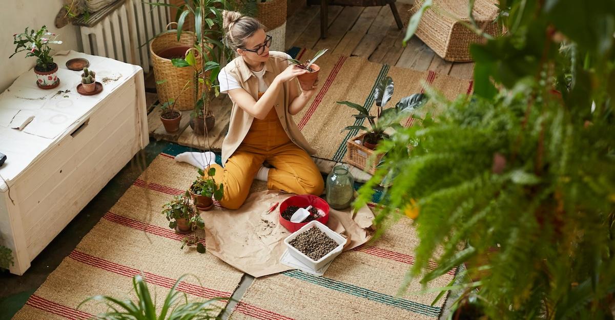 sustainable habits