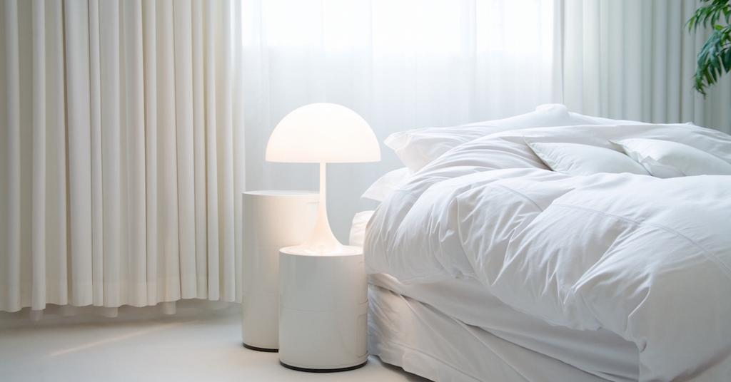 What Are the Best CrueltyFree Down Comforter Alternatives?