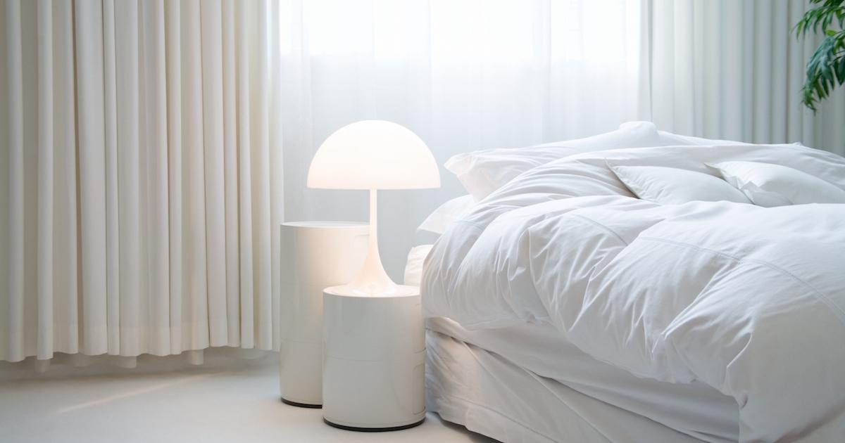 What Are the Best CrueltyFree Down Comforter Alternatives?