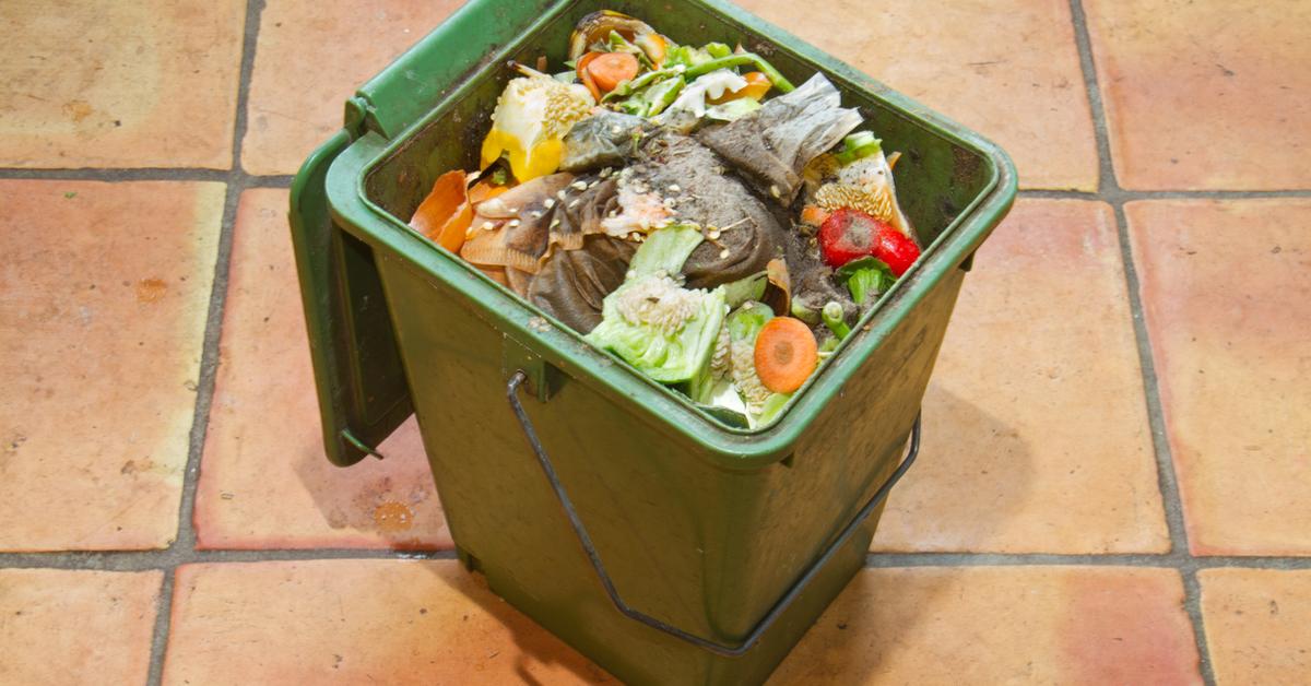 Big Green Compost Bucket