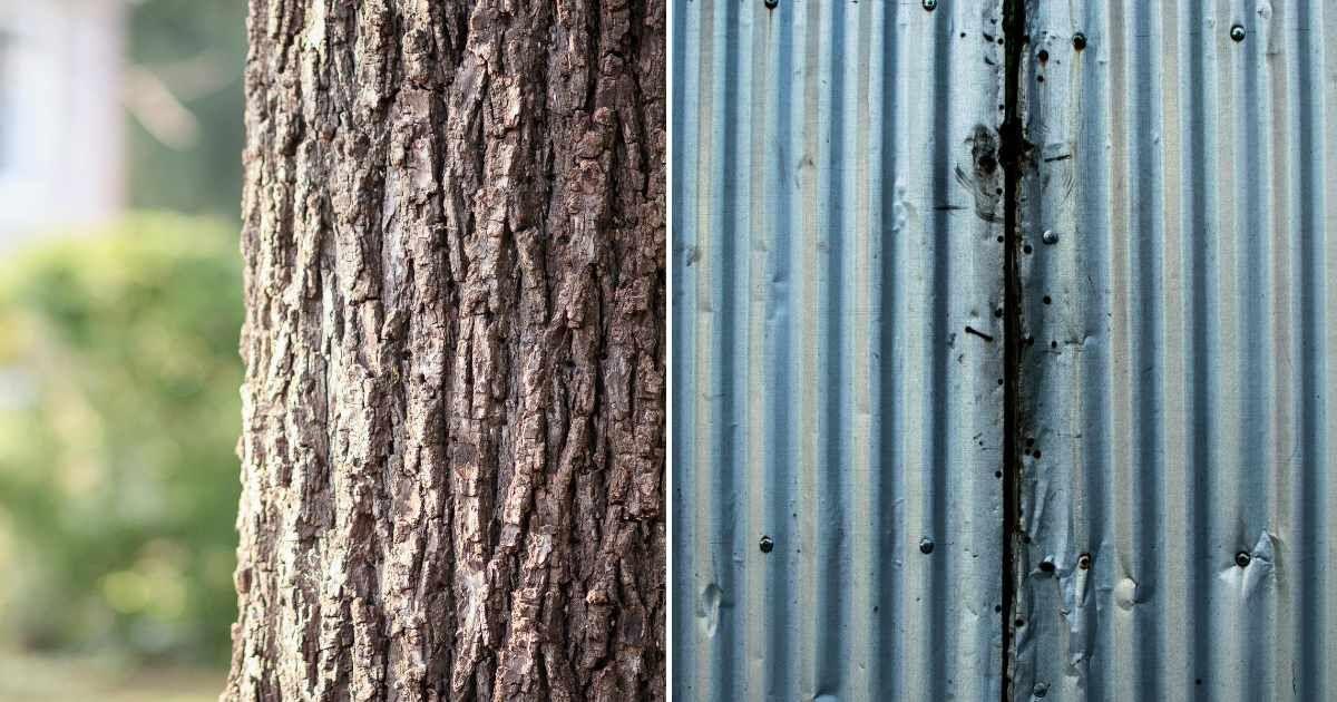(L) Trunk of a tree. (R) Sheet metal with dents. (Representative Cover Image Source: Pexels | (L) Michael Morse, (R) Archie Binamira)