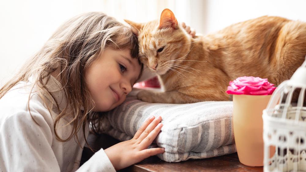 A cat snuggling with a little girl.