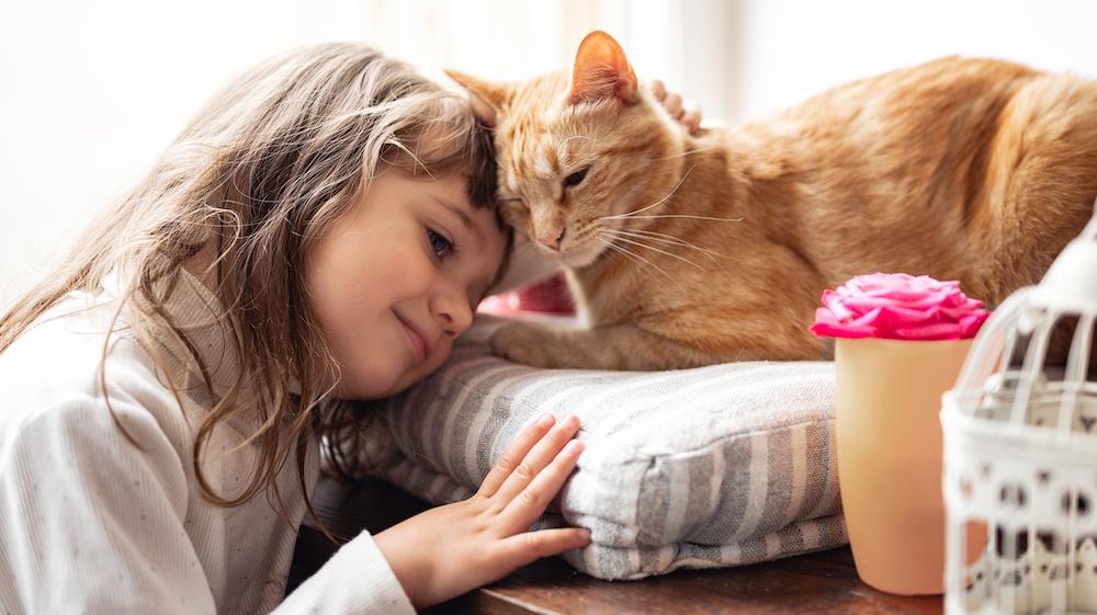 Why Does My Cat Headbutt Me? Kitty Behaviors, Explained