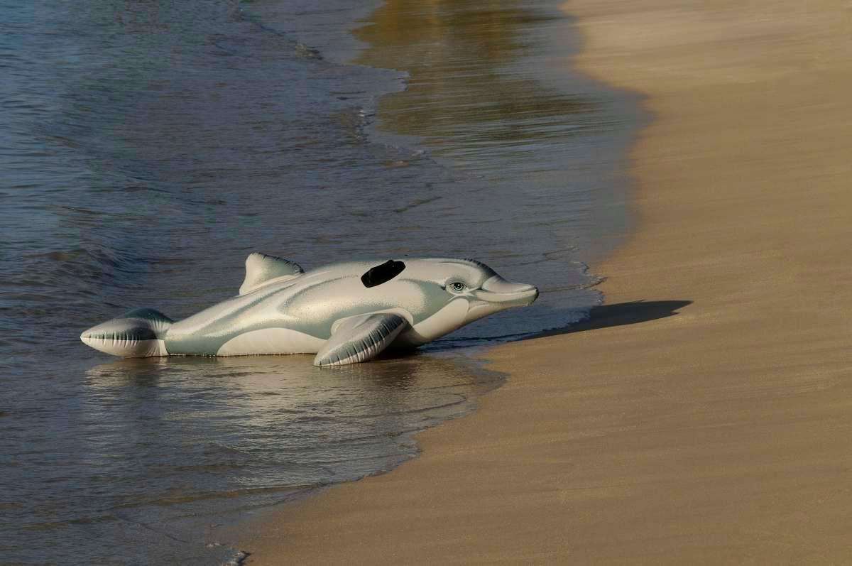 pn/eee d ae ad cdeac