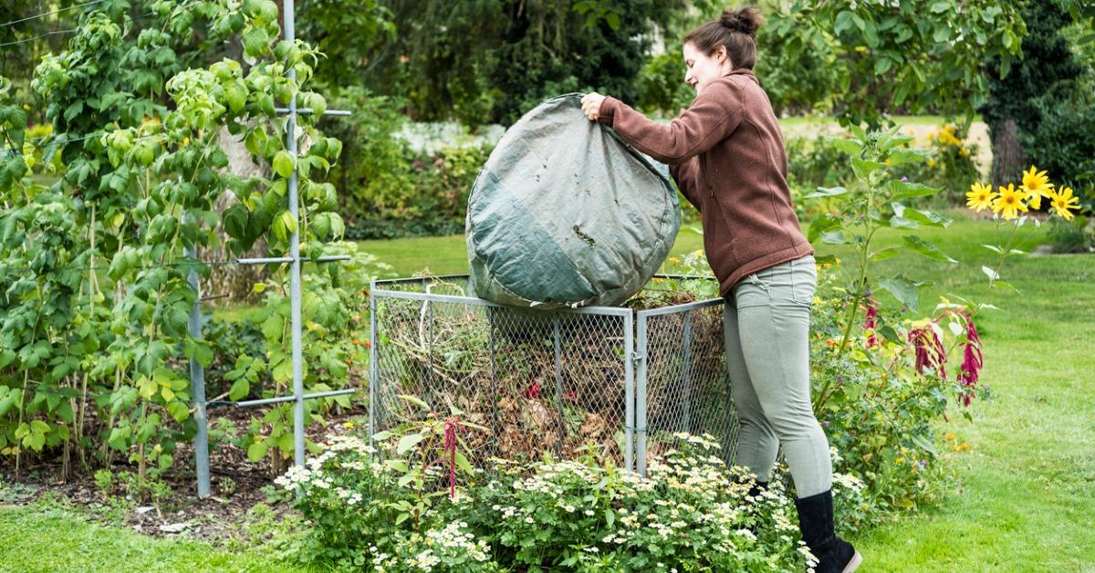 Someone dumps a bag of leaves into a garden enclosure.