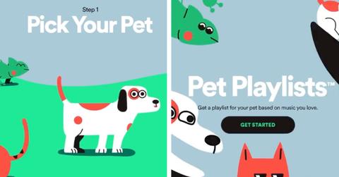 A collage depicts two steps to creating a Pet Playlists on Spotify.