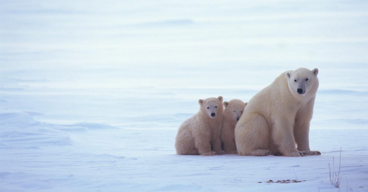 what is a climate zone