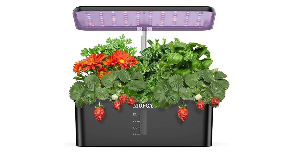 Mufga hydroponic garden growing strawberries and flowers